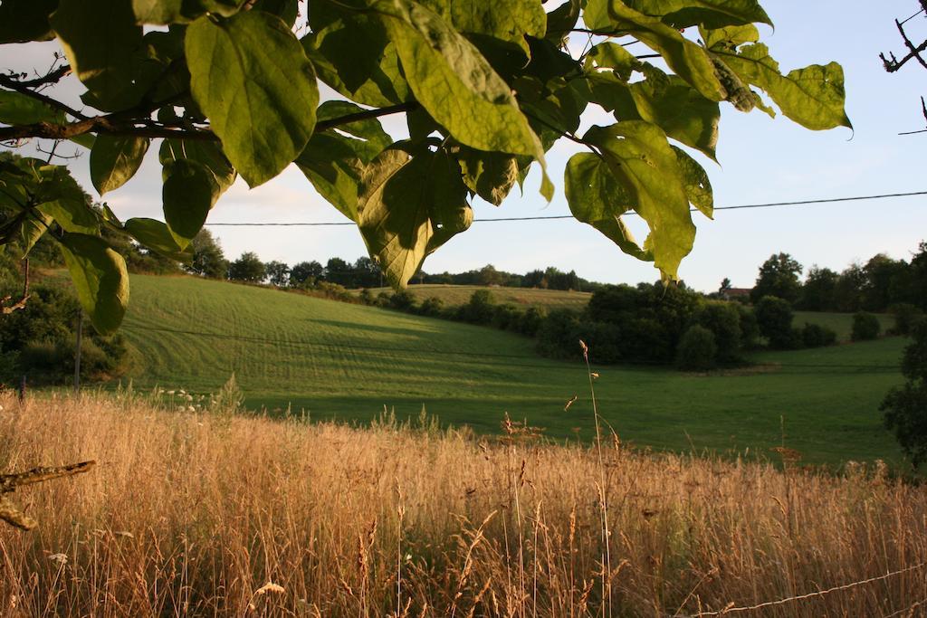 Saint-Léonard-de-Noblat Domaine De Romefort חדר תמונה