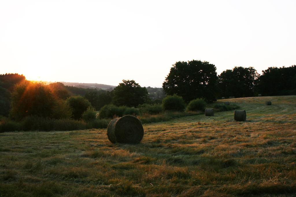 Saint-Léonard-de-Noblat Domaine De Romefort חדר תמונה