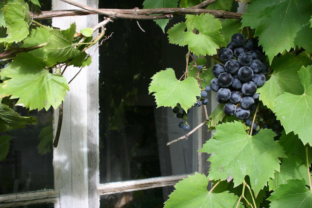 Saint-Léonard-de-Noblat Domaine De Romefort חדר תמונה